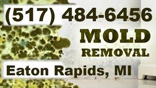 Mold Removal Eaton Rapids MI (517) 484-6456 | Mold Remediation Eaton Rapids Michigan