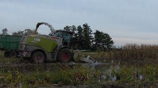 |Kiszonka z Kukurydzy W GR Marciniak|3x Fendt| 3x John Deere|Claas Jaguar 940|