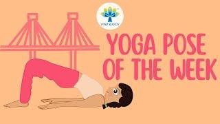 Yoga Pose of the Week | Bridge Pose | Improve Strength & Flexibility with Yoga | Yoga Guppy