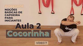 Curso de Capoeira - Noções Básicas para Iniciante - Vídeo 7 - Aula 2 - Cocorinha