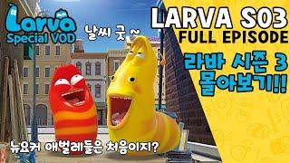 ▶LARVA S03 | 라바 시즌 3 | FULL Episode | 시간순삭!! 뉴요커 레드와 옐로우의 길거리 생활기!! | 케이블_BOX