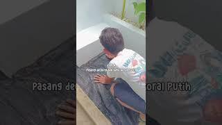 step step membuat taman kering #taman #tamanrumah #shortvideo