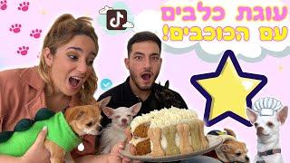 עוגת הכלבים הראשונה בישראל! עם הכוכבים הכי גדולים בארץ! (ובעולם)