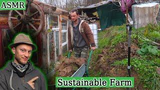 Escape the Rat Race: Discover the Joys of Natural Living on a Sustainable Farm