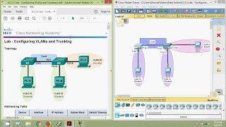 6.2.2.5 Lab - Configuring VLANs and Trunking