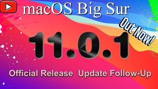 macOS 11 Big Sur Official Release Update Follow Up || 2 Days Later