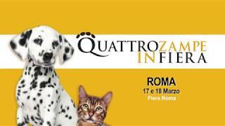 Quattrozampeinfiera - Roma 2018