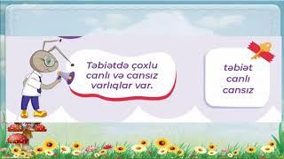 Canlılar və cansızlar