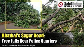 Bhatkal: Tree Falls on Sagar Road Near Police Quarters