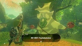 Zelda: BOTW (Collecting All 900 Koroks Seeds Before Talking To Hestu) Master Mode