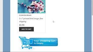 Simple Cart Plugin - How to Always Show the Shopping Cart