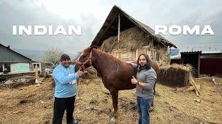 Why this Indian is interested in the lives of Roma people? | Romani in Europe