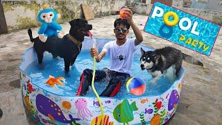 Rottweiler And Husky Pool Party   Dog can talk part 46 Roxy, Cheeni. Op Reaction. Review reloaded