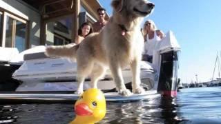 Floating Home owners take a boat to dinner instead of a car!