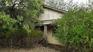 Mysterious old house being taken over by nature/Abandoned 40 years ago/Huge honeycomb