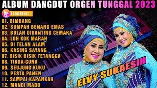 ALBUM DANGDUT ORGEN TUNGGAL SPECIAL ELVY SUKAESIH TERBARU || ENAK DI DENGAR