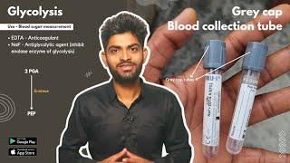 Glycoslysis and Grey cap blood collection tube | Dr. Pawan nagar
