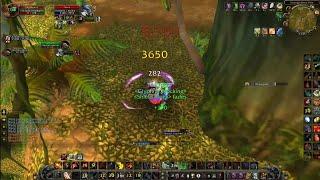 Warmane - Two 70 twinks vs BIS PvP retri paladin with Shadowmourne