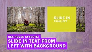 CSS Image Hover Effects: Slide in Text from the Left with Background (Quick Tutorial)