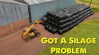 Not Enough Silage For Winter | Have I Made A Mistake