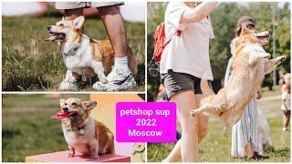 PETSHOP SUP MOSCOW 2022 with Varya The Corgi /