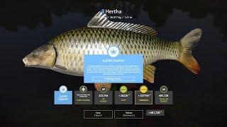 AKHTUBA RIVER WILD CARP BLUE TAG AND TROPHY Russian Fishing 4 RF4