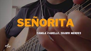 (Camila Cabello, Shawn Mendes) Señorita - Fingerstyle Guitar