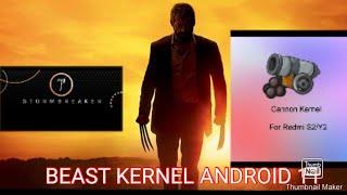 Kumpulan kernel terbaik Android 11 (redmis2/ysl)