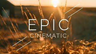 No Copyright Epic Cinematic Background Music For Documentary Videos  - 'Movie' by Aylex