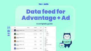 2023-Advantage+ Ad - Complete Data Feed setup guide for Facebook Ads - Two Owls by Omega|Shopify App