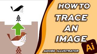 How to Trace an Image and Keep the Original Colors in Adobe Illustrator