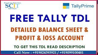 Print Detailed Balance Sheet for Tally Prime | Detailed Balance Sheet and P&Loss In Tally | Free TDL