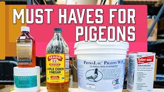 Homing Pigeons - Must Have Items When Getting Started