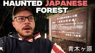 SCARIEST NIGHT OF MY LIFE ALONE IN HAUNTED JAPANESE SUICIDE FOREST | AOKIGAHARA 青木ヶ原