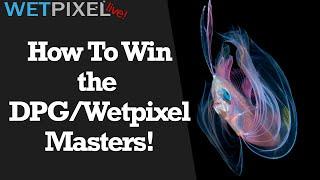 How to Win the DPG/Wetpixel Masters 2021