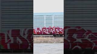 DFASE x HiWAY Tagged Autorack #trains #graffiti #youtubeshorts #shorts