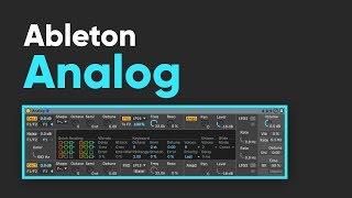 Ableton Live Analog synth tutorial