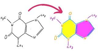 Biochemie Lerntipps für Klausuren (Reaktionen, Strukturen und Prinzipien)