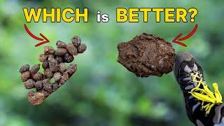 10 Reasons to Use Goat Droppings as Organic Fertilizer in Gardening? | Cow-Manure or Goat Manure?