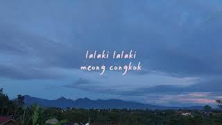 Lalaki - Doel Sumbang (LIRIK)