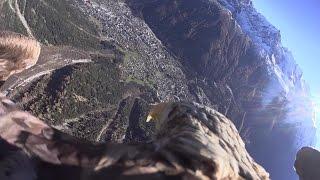 A race: Victor the Eagle versus BASE-jumper Géraldine Fasnacht