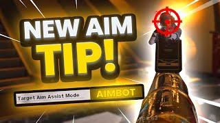 The SECRET AIM Setting To IMPROVE Your ACCURACY (Black Ops Cold War)