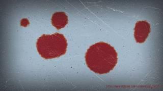 After effects template  - Blood stains with shape layers