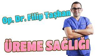 ÜREME SAĞLIĞI - Op.Dr.Filip TAŞHAN