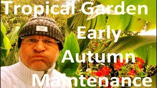 Tropical Garden UK - Early Autumn maintenance