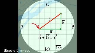 Векторы. Сложение векторов