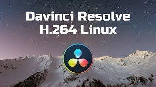 Import MP4 and H.264 Videos in Davinci Resolve on Linux