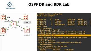 Designated Router | Backup Designated Router | DR BDR Election | Practical OSPF  | CCNA