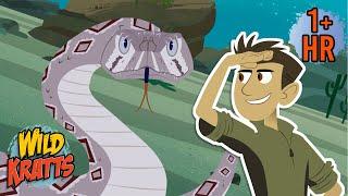 Amazing Snake Facts | National Serpent Day (Feb 1st) | Wild Kratts