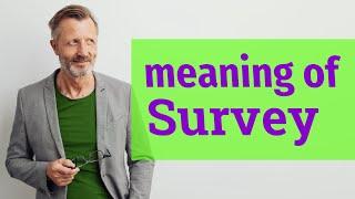 Survey | Definition of survey